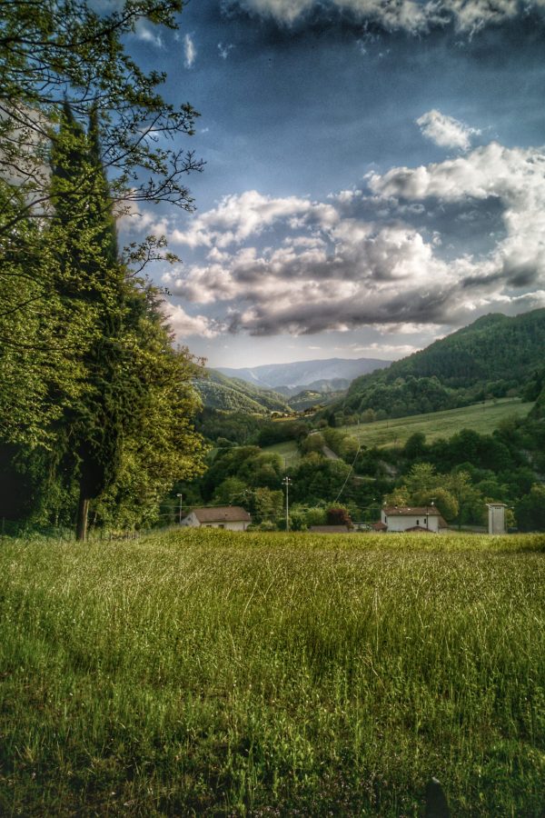 una veduta dell'appennino tosco emiliano e precisamente visto dalla strada che porta al passo della calla, campigna, nel cuore del parco nazionale delle forsete casentinesi del monte falterona e di campigna. Qui vicino alla diga di ridracoli, percorso motociclistico è anche per e-bike fantastico